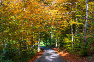Fall or Autum in the Walgau Valley, State of Vorarlberg, Austria