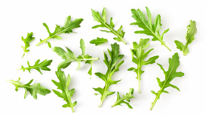 Obraz premium fresh green parsley on white background, isolated