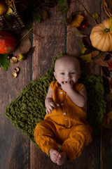 the child lies in the autumn decor. newborn boy. baby's first photo shoot