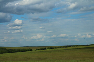 A field with trees and blue sky