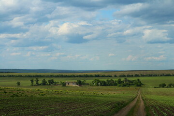 A dirt road leading to a house