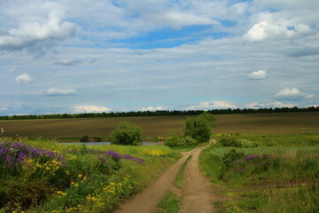Fototapeta premium A dirt road through a field