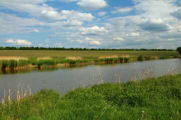 A body of water with grass and trees in the background