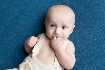 small child sucking fingers on a blue background. portrait of a newborn boy. baby's first photo...