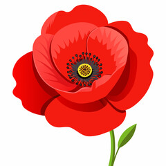 Bright red poppy flower vector illustration 