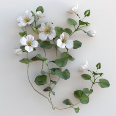 Fototapeta premium Collection of white flowers set against a white background