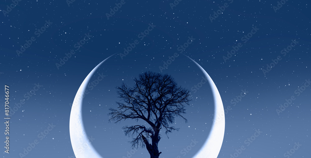 Poster silhouette of barren lone tree with crescent moon in the background
