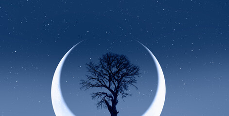 Silhouette of barren lone tree with crescent moon in the background