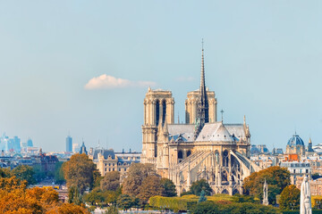 The cathedral Notre-Dame in Paris