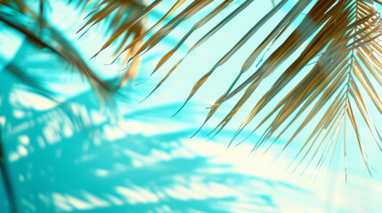 A palm tree with its leaves spread out in the sun