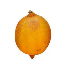 Lemon going bad isolated on white background