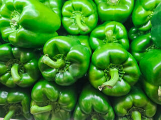 Close up shot of green sweet bell pepper. Wallpaper and background with copy space for text.