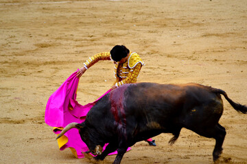Matador in a suit of light with a hood in front of a bull in the bullring