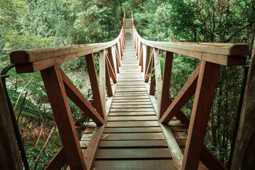 Bridge in hike