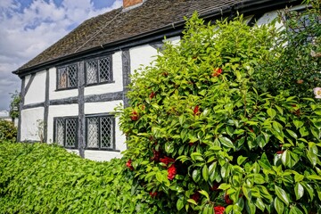 Tudor Cottage