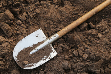 Brown soil ground texture with shovel on garden bed in farm garden close up. Organic farming,...