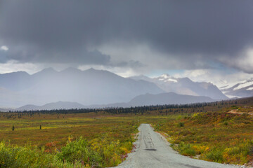 Road in Alaska