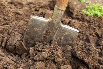 Shovel close up macro in brown soil ground in garden. Organic farming, gardening, growing,...
