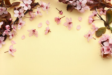 Spring tree branches with beautiful blossoms, flowers and petals on yellow background, flat lay....