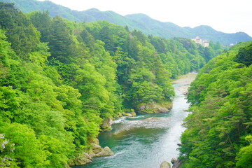 栃木県へ旅行。鬼怒楯岩大吊橋から見える自然いっぱいの鬼怒川。