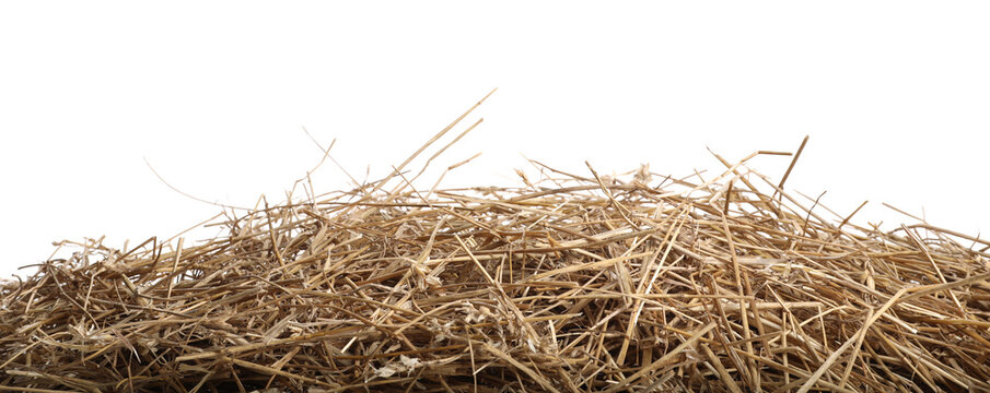 Dried straw isolated on white. Livestock feed