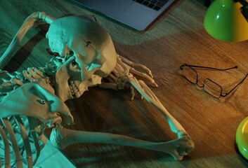 Waiting concept. Human skeleton sleeping at wooden table with laptop