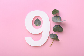 Paper number 9 and eucalyptus leaves on pink background, flat lay