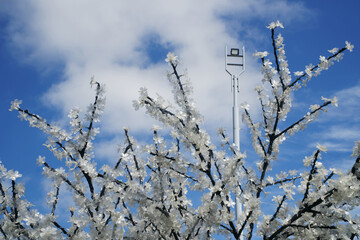 LED tree branches in summer daylight next to a modern lantern against a blue sky. Improvement and decoration of urban space. Photo