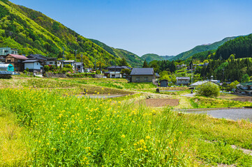 Naklejka premium 菜の花が咲く春の山村風景