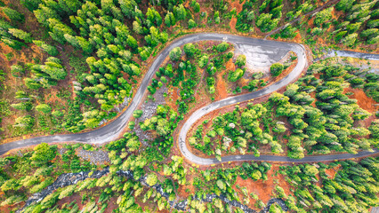 Winding Road in Washington State in Autumn 