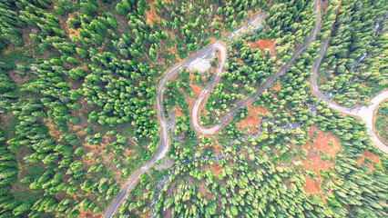 Drone Aerial of Washington State Park  