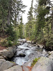 Washington State Lake and River and Waterfalls