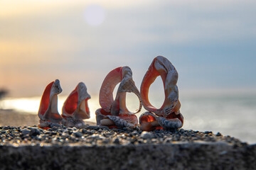 A seashell on the beach. Seashells on a blurry seascape background. A seashell and a sandy beach on...