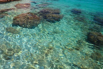 Summer background - clear sea water