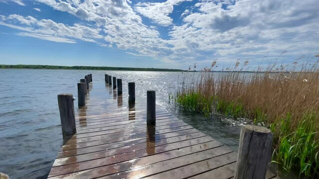 wooden jetty on a flooded lake