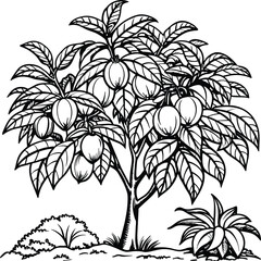 Guava Tree coloring pages. Tree outline. Fruit tree line art