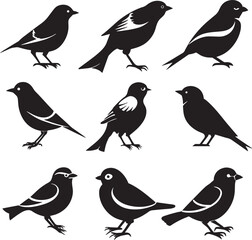 set of  bird silhouette illustration. isolated on white background