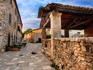 Dawn has just dawned over an ancient medieval village in Tuscany, with stone houses, a black cat,...