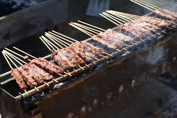 Arrosticini are a class of traditional dishes of skewered grilled meat typical of Abbruzzo and Molise regions in Italy