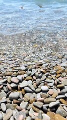 The Black Sea coast. A beach made of stones. Water ebb and flow, selective focus, vertical video