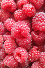 fruit banner from the harvest of ripe raspberries