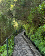 Obraz premium Along the Levada, Madeira. Hiking along irrigation channel