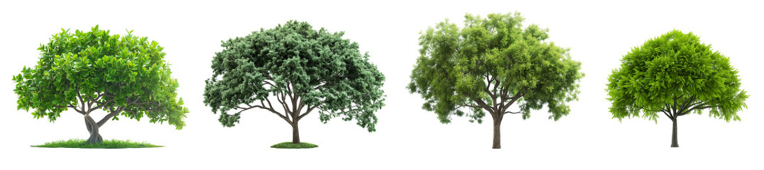 3d green trees collection with green leaves isolated on transparent or white background
