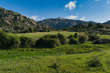 Naklejka premium mountains, landscape, view, nature, plants, spring, sunny, flora