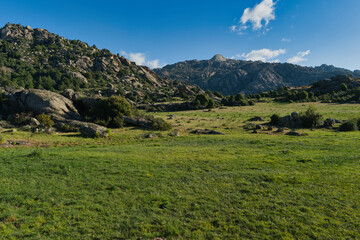 Naklejka premium mountains, landscape, view, nature, plants, spring, sunny, flora