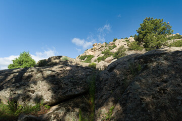 mountains, landscape, view, nature, plants, spring, sunny, flora
