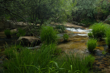 landscape, spring, view, river, plants, nature, water, transpare