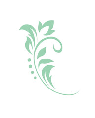 Abstract pattern, decorative element, clip art with stylized leaves, flowers and curls in light green lines on white background. Vintage ornate