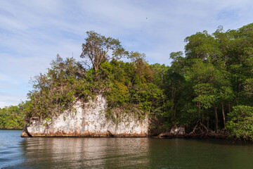 Samana bay landscape photo. Dominican republic