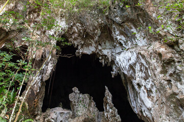 Cave in the national park Los Haitises. Samana, Dominican Republic
